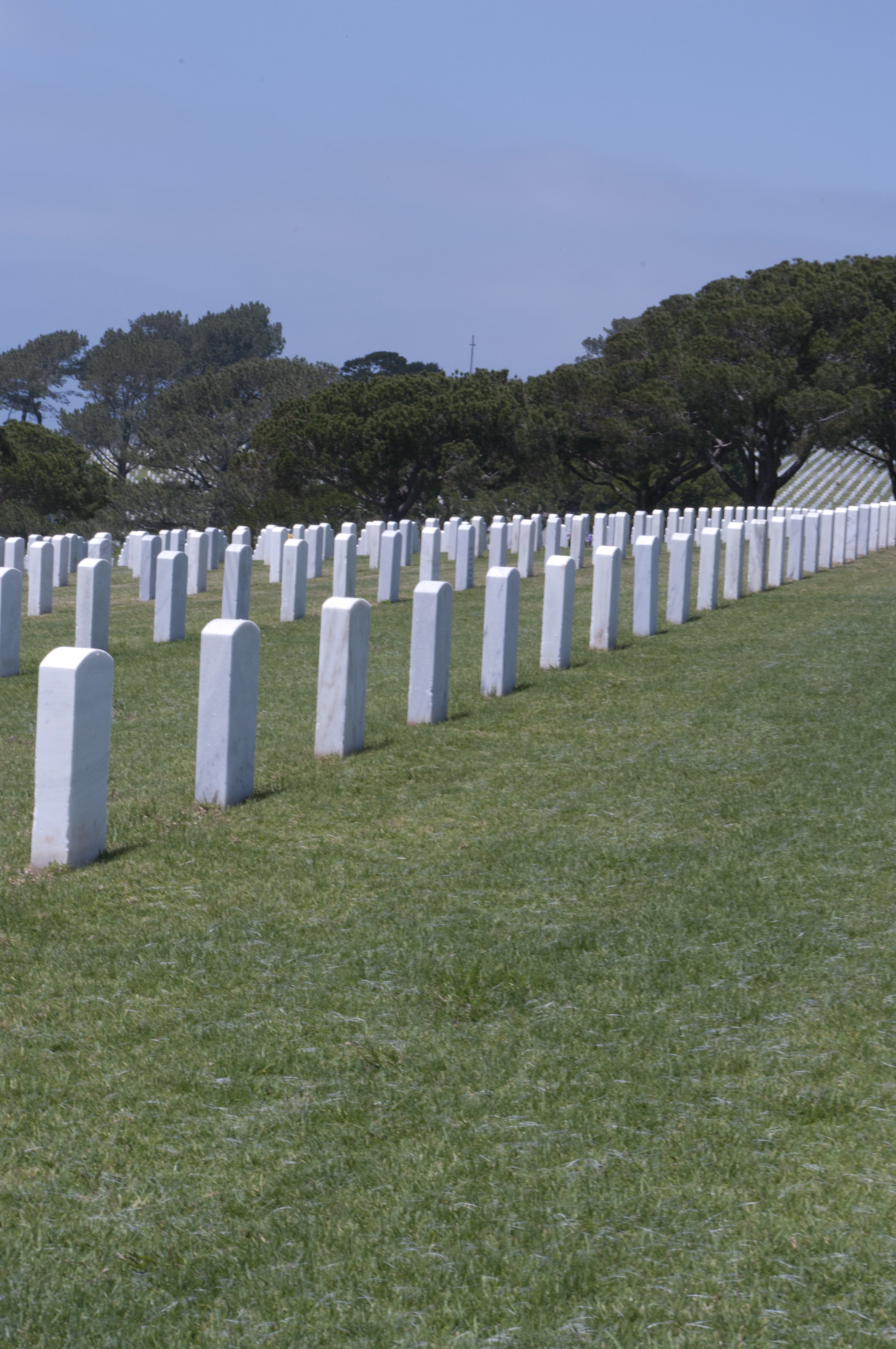 Rows of white military headstones stretching up a grassy hillside at Fort Rosecrans National Cemetery, with pine trees along the ridge under a pale blue sky