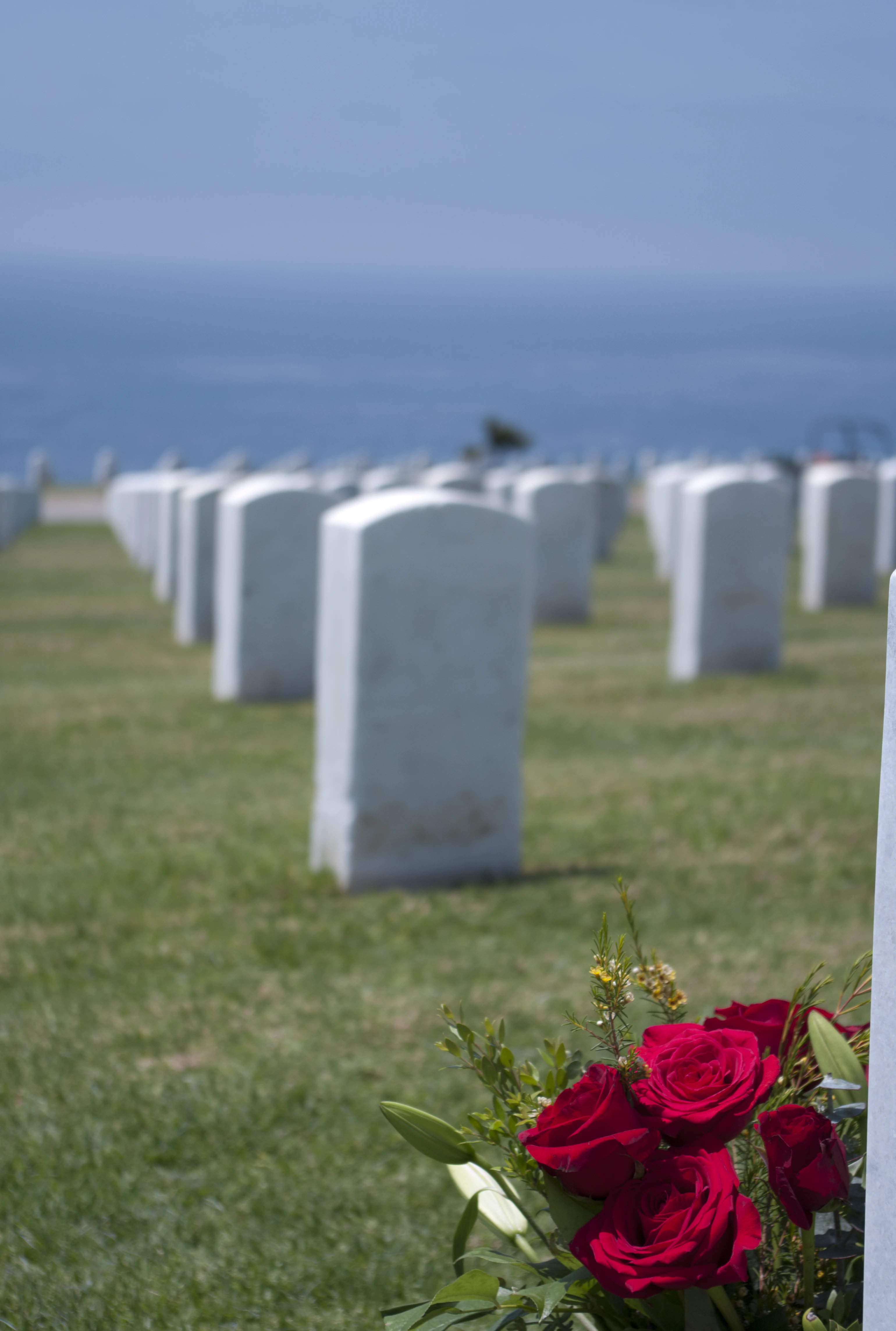 A bouquet of deep red roses in sharp focus beside a military headstone in the foreground, with rows of white headstones and the ocean softly blurred in the background